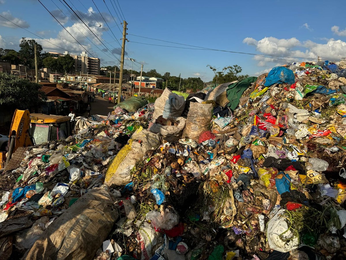 Authorities Take Action to Maintain Clean and Orderly Public Spaces.